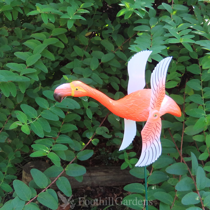 フラミンゴ ピンウィール ガーデン ステイク (オレンジ) 鳥 プランター 観葉植物 風車 ガーデニング ピック｜abspec｜05