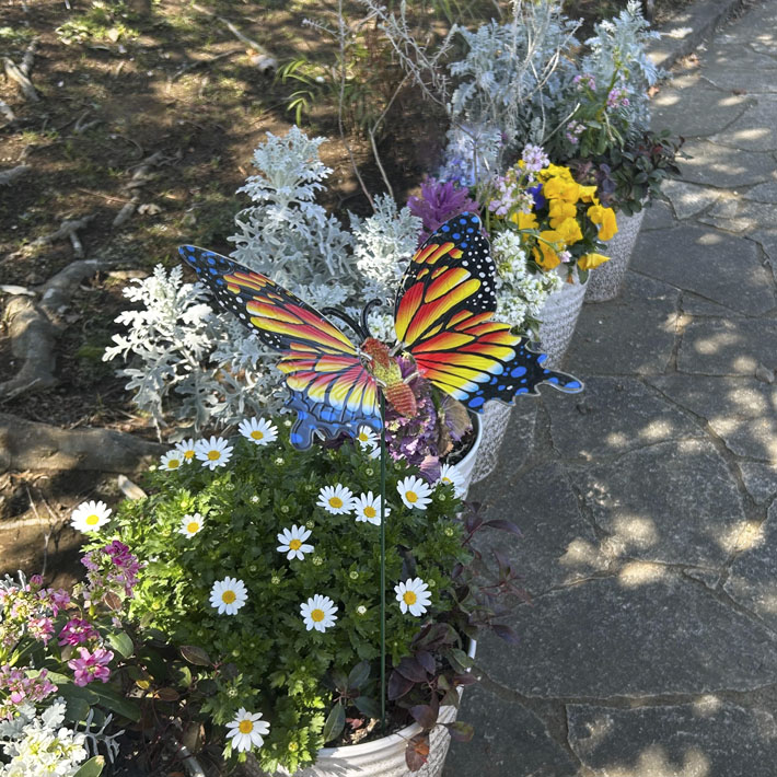 蝶飾りの付いた水盤 蝶飾りの付いた水盤