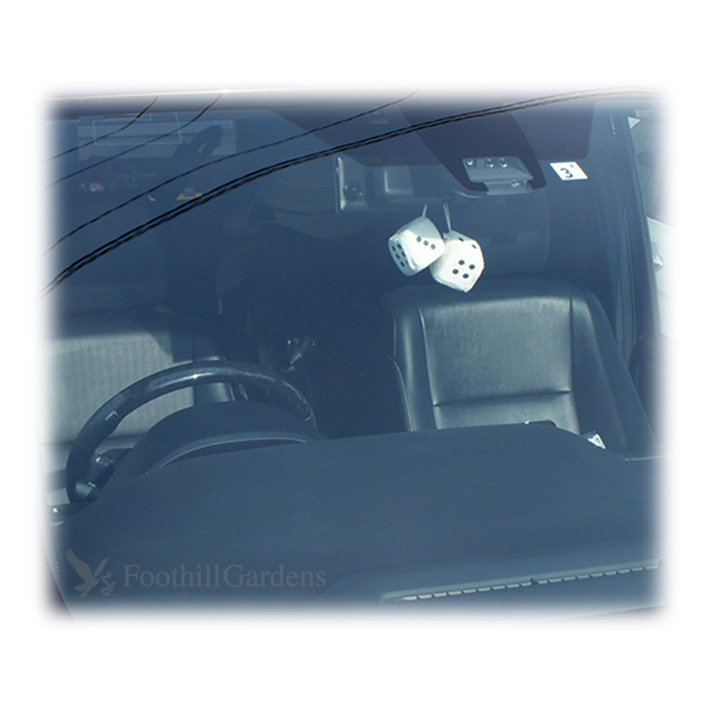 プラッシュ ダイス (ホワイト) 2piece Car Plush Dice 車 ファジーダイス サイコロ カーアクセサリー アメ車 吸盤｜abspec｜05