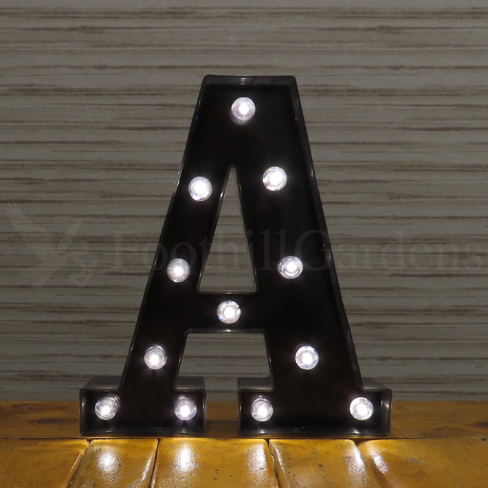 イニシャル電飾 R字型 イニシャル電飾 R字型