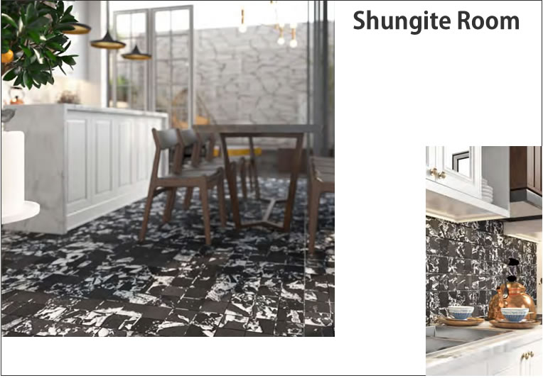 shun000-11.jpg