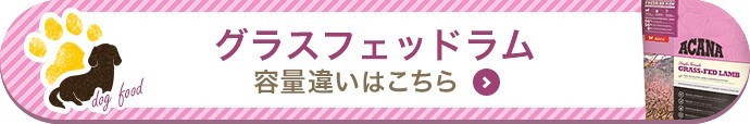 アカナ グラスフェッドラム 11.4kg (正規品) ドッグフード 全犬種 全年齢用 低アレルギー 賞味期限2024.4.28 2% 4% 18% アカナ ドッグフード ラムは 栄養豊かなWHOLEPREY™比率で生の状態で搬送されニュージーランド産羊肉を原材料の50%に使用しています フリーズドライレバーを注入しているので 選り好みをする犬にもぴったりです また 新鮮リンゴ スクワッシュ カボチャの水溶性繊維が繊細な胃腸を優しくケアします 0%以上脂肪15 0%以下水分12 0%以下カルシウム リン1 5%/1 8%/0 15%/0 407kcalです 32%がたんぱく質 30%がフルーツ 野菜 38%が脂肪由来となっております BHA BHT エトキシキン等の人工的な防酸化剤は不使用 粒の色 香りが異なる場合がございますが 商品の品質上問題ございません パッケージは真空処理を行っておりません パッケージのまま保存をお願いします ラム肉ミール 丸ごとグリンピース 丸ごと赤レンズ豆 羊ラムレバー ラム肉脂肪 新鮮レッドデリシャスリンゴ 丸ごとヒヨコ豆 丸ごと緑レンズ豆 丸ごとイエローピース 羊ラムトライプ 羊ラム腎臓 乾燥ラム軟骨 レンズ豆繊維 海藻 環境に優しい方法で採取された天然DHAとEPA源 新鮮丸ごとバターナッツスクワッシュ 新鮮丸ごとカボチャ 乾燥ブラウンケルプ フリーズドライラムレバー 1% 新鮮丸ごとクランベリー 新鮮丸ごとブルーベリー チコリー根 ターメリック オオアザミ ゴボウ ラベンダー マシュマロルート ローズヒップ：ビタミンD3 亜鉛 ビタミンEで天然保存