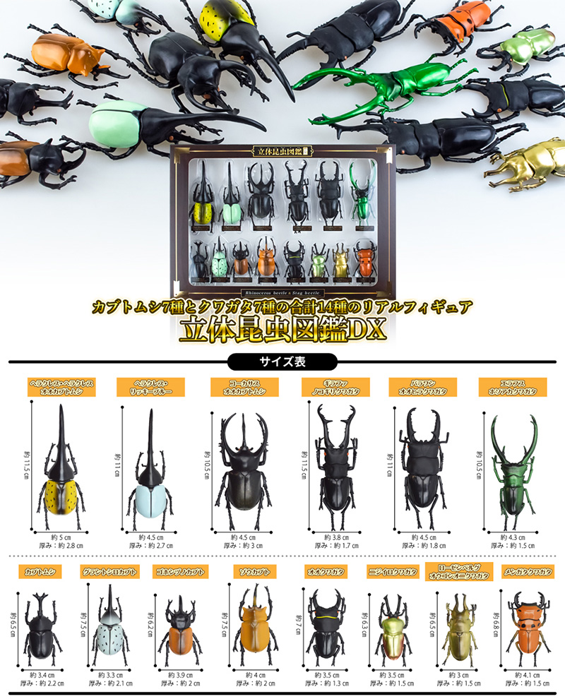 立体昆虫図鑑DX カブトムシ クワガタセット 標本 リアルフィギュア