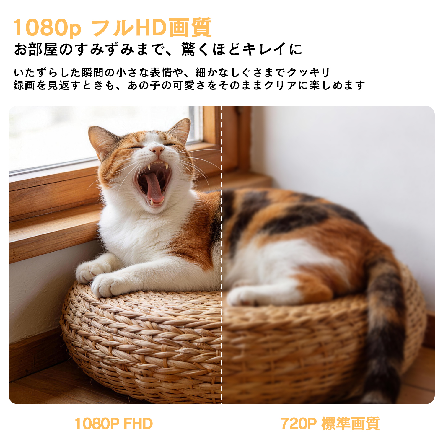 ペットカメラ 見守りカメラ 360度 広角 録画 遠隔 スマホ ベビーモニター 防犯カメラ 暗視 おやつ給餌 通話 | ブランド登録なし | 02