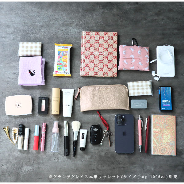 exTENsion_no_SITA＋SBS KIT用バッグ& よこにょい用ケース 1〜3日後出荷/メール便】【横型】メッシュ バッグインバッグ