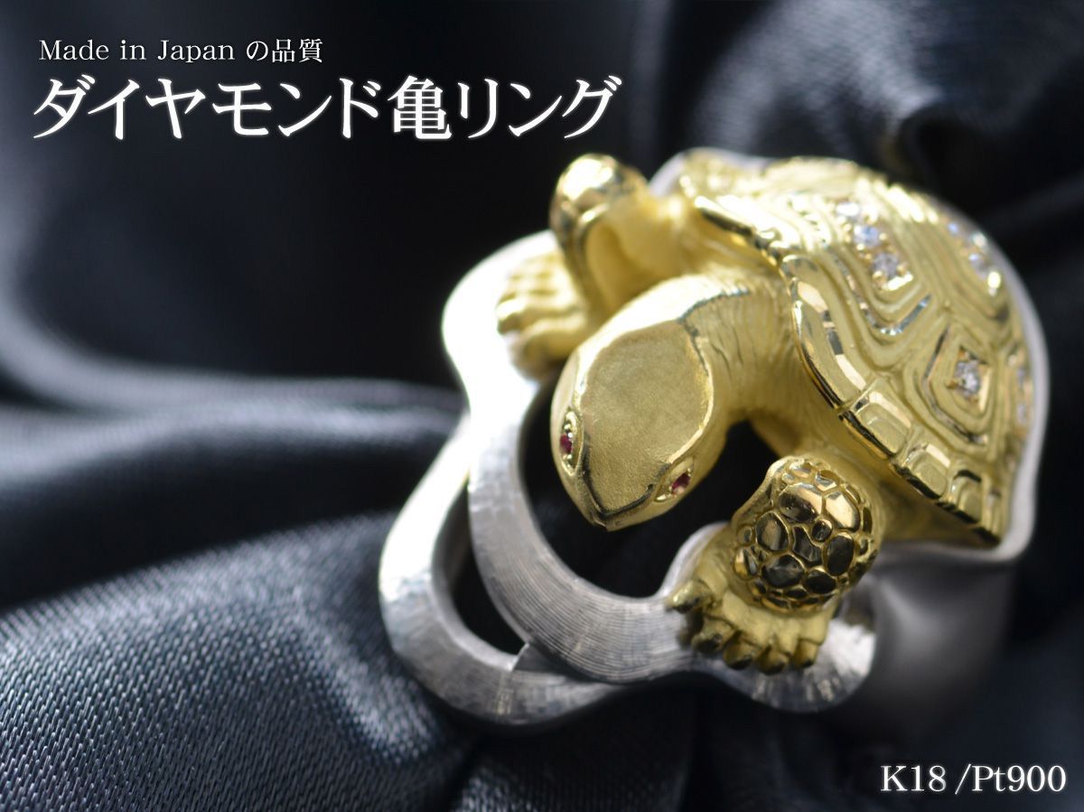 img-dxd00443-01.jpg