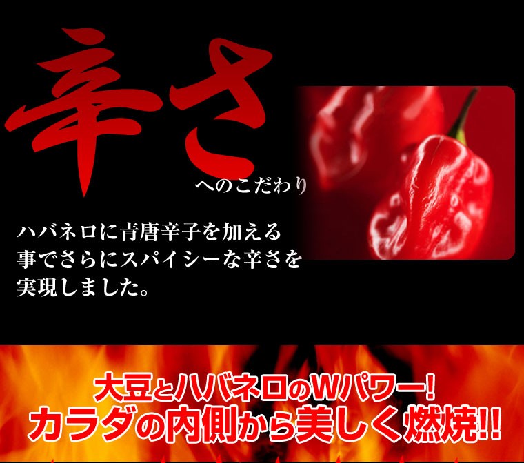 激辛,ハバネロ,カプサイシン,燃 焼,発汗,煎餅,おから,カレーせんべい,低カロリー