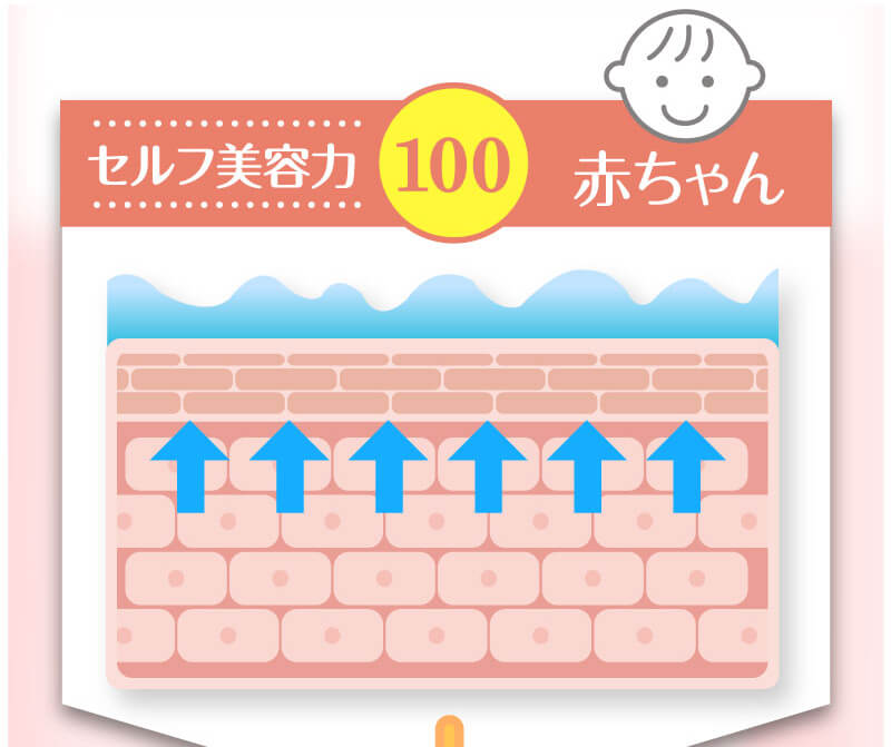ACell（エーシェル）5本5日分【お試し購入】AC-11高配合 圧倒的