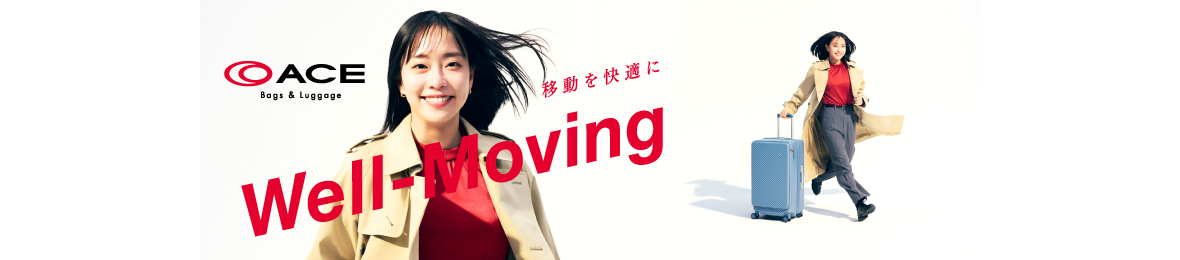 ACE Online Store ヘッダー画像