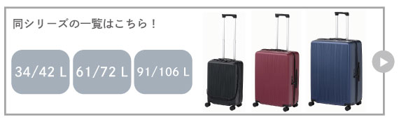新品未使用 【ACE 】ブラインズLサイズ 91～106Ｌ【留学•長期旅行】 Ace（エース） スーツケース キャリーケース ブラインズ Lサイズ