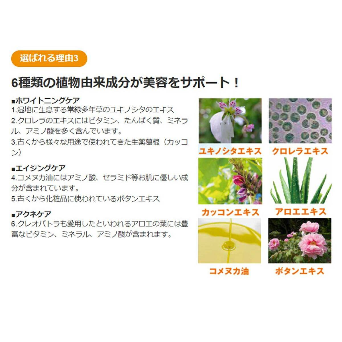 薬用美白クリーム ホワイトニングCA 50g 3本セット フェイスクリーム しみ そばかす 美白 くすみ トラネキサム酸 乾燥肌 バリア機能 オールインワンクリーム_7