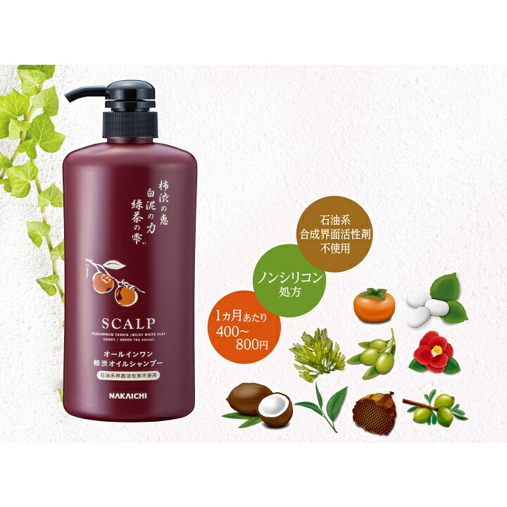 柿渋スカルプケア オールインワンシャンプー(600mL) 6本セット 柿渋 白泥 緑茶 ノンシリコン アミノ酸系 頭皮ケア ニオイ対策_1