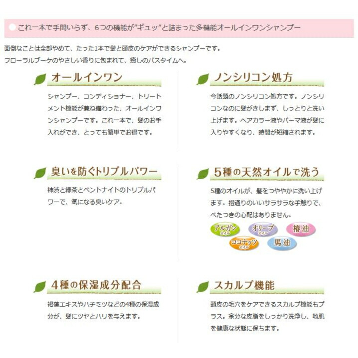 柿渋スカルプケア オールインワンシャンプー(600mL) 6本セット 柿渋 白泥 緑茶 ノンシリコン アミノ酸系 頭皮ケア ニオイ対策_2