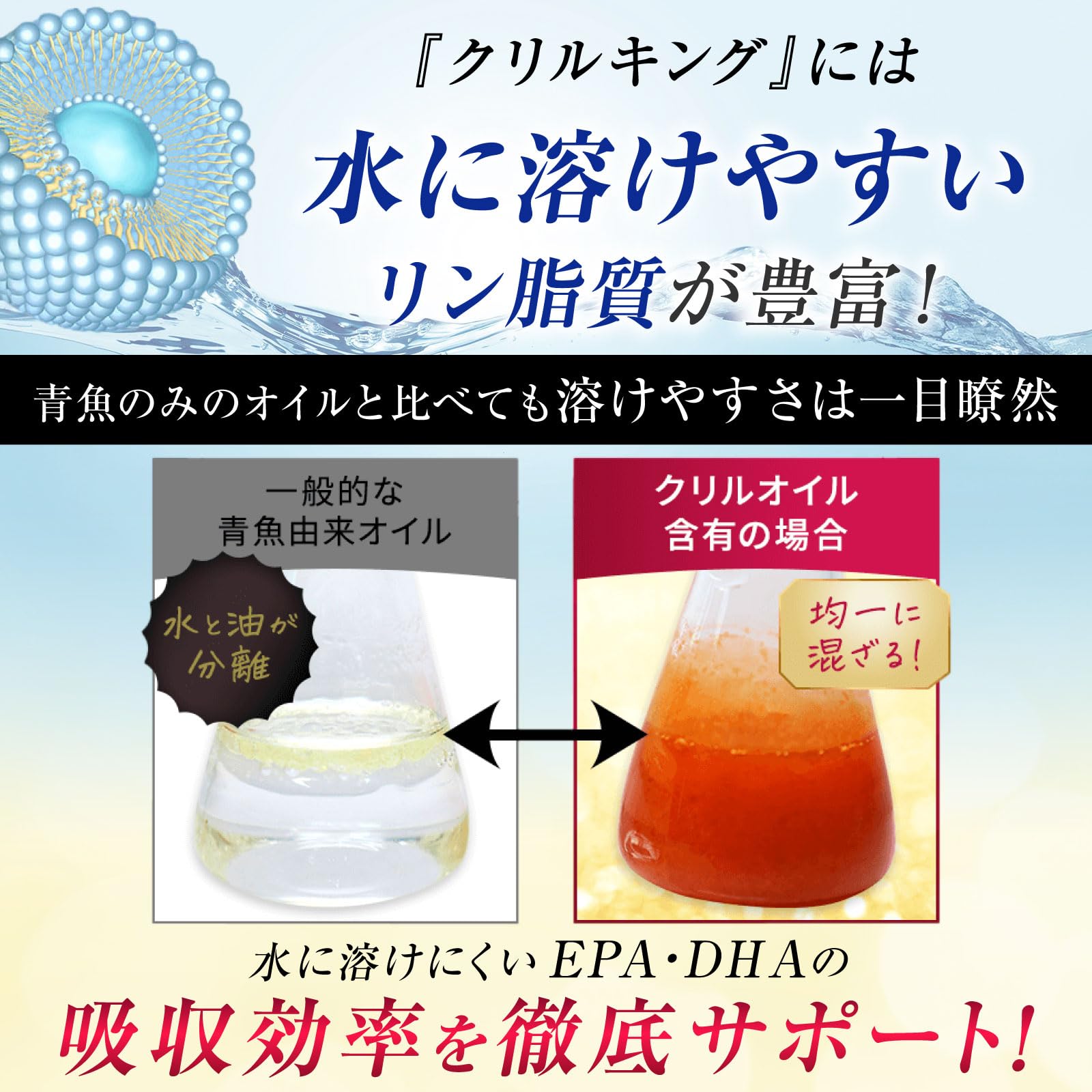 クリルオイルサプリ クリルキング 2ヶ月分 DHA EPA アスタキサンチン オキアミ リン脂質 年齢による変化が気になる毎日に 海の恵みのすこやかサポートの画像
