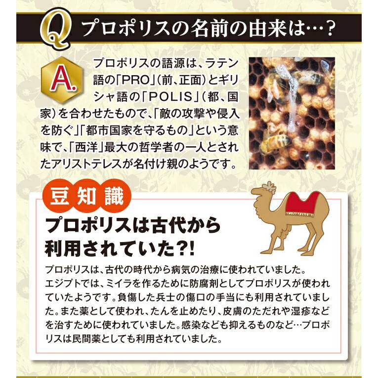 毎日の健康習慣を意識する方に 新プロポリス粒 1ヶ月分 3袋セット 水に溶けるグリーンプロポリスサプリ ブラジル産グリーンプロポリス高配合