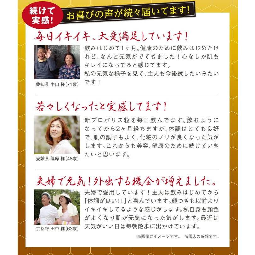 毎日の健康習慣を意識する方に 新プロポリス粒 1ヶ月分 3袋セット 水に溶けるグリーンプロポリスサプリ ブラジル産グリーンプロポリス高配合