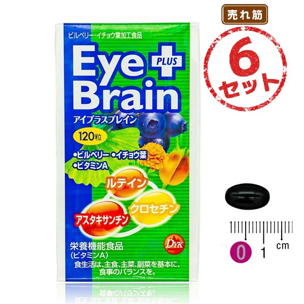 ブルーベリー由来成分配合 アイプラスブレイン 2ヶ月分 6本セット イチョウ葉 ビルベリー ルテイン アスタキサンチン配合 栄養機能食品(ビタミンA)