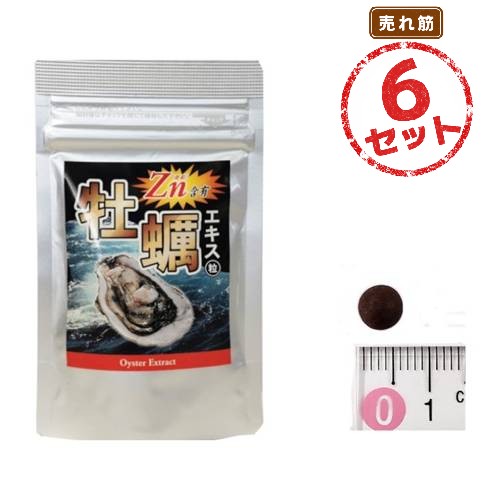 能登産牡蠣100%使用 牡蠣エキス粒 24日分 6袋セット 亜鉛を含む 国産素材の健康補助食品 毎日の活力を意識する方に