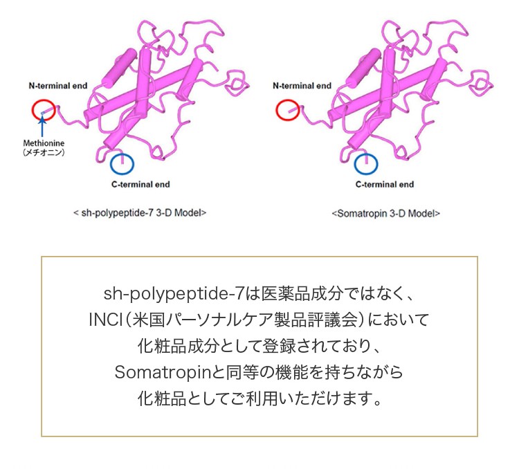 マイクロニードル パッチ Apropoly HGH ヒト 成長ホルモン を効率よく