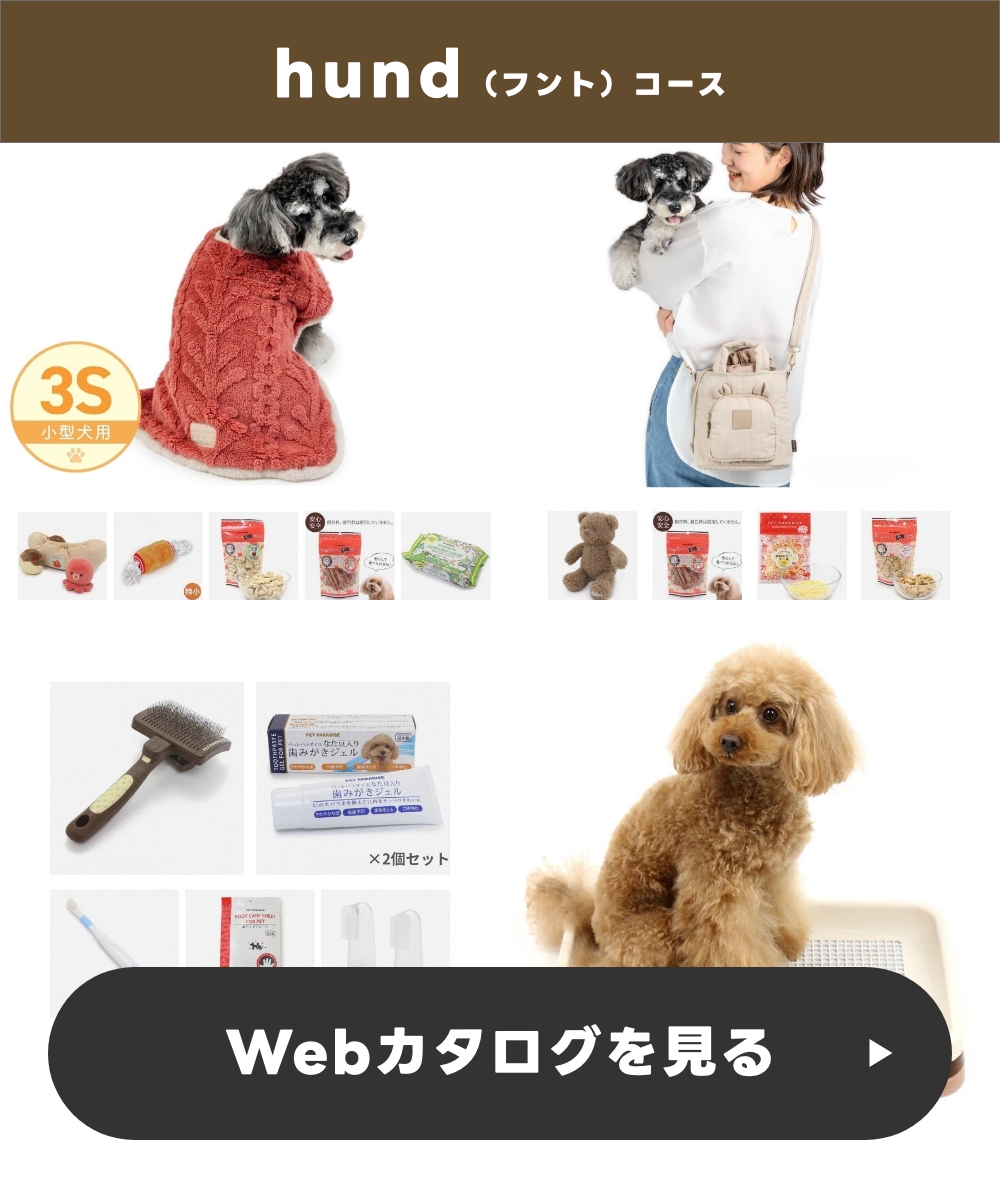 Gift da Won！〈ギフトダワン！〉 hund（フント）コース ワンちゃん 