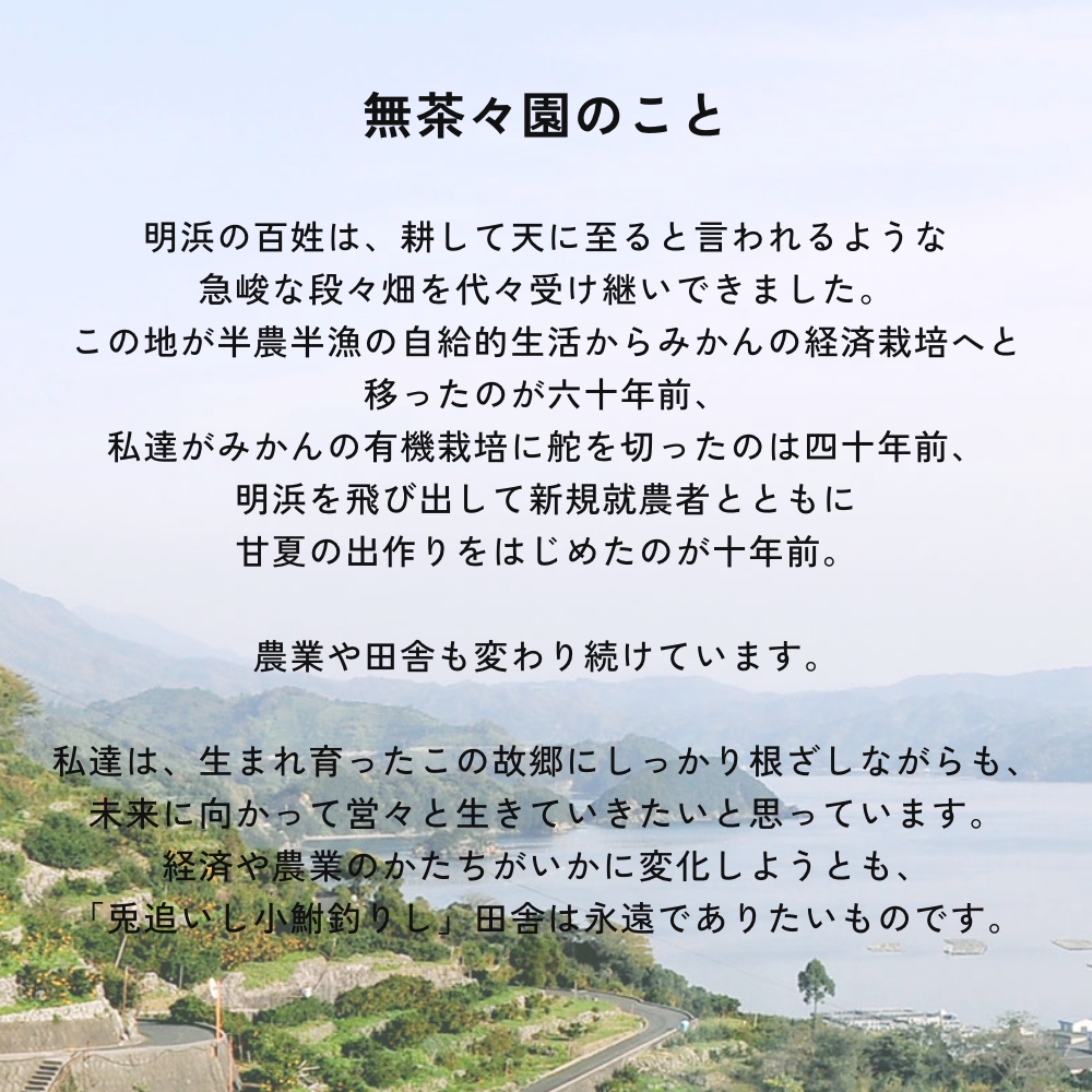全2種　選べる2本セット 大容量 60g yaetoco 伊予柑しっとり/さわやかレモンのハンドクリーム ボディケア  無茶々園  無農薬 オーガニック | yaetoco | 12