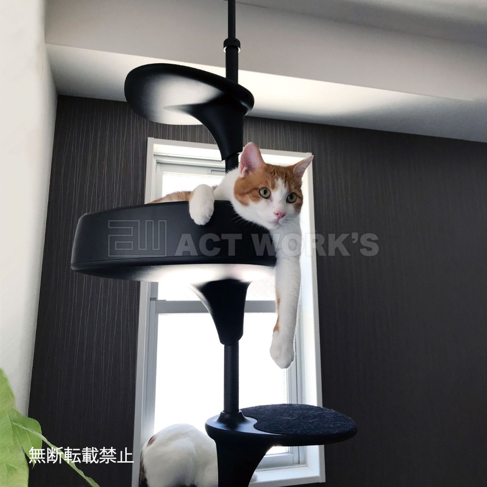 oppo キャットフォレストのおすすめ人気商品一覧 通販 - Yahoo