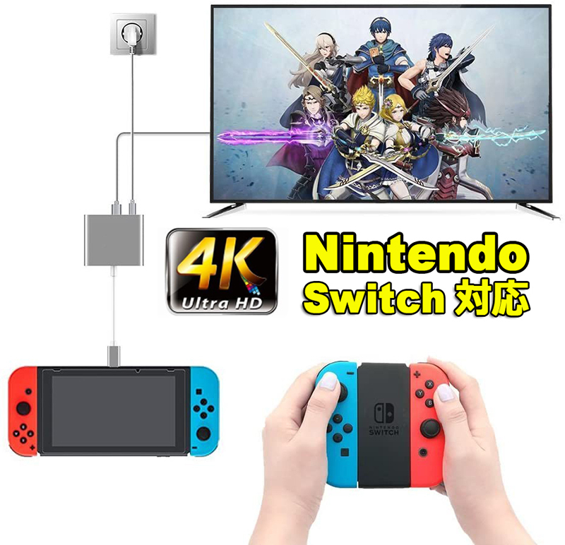 ♡*様 Nintendo Switch 本体 ドック ACアダプター Joy-C Nintendo Switch switchドック HDMI 変換アダプター ACアダプター Type