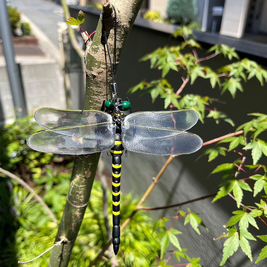 オニヤンマ 虫除け 虫対策 ストラップ付き トンボ とんぼ 蜻蛉 虫よけ