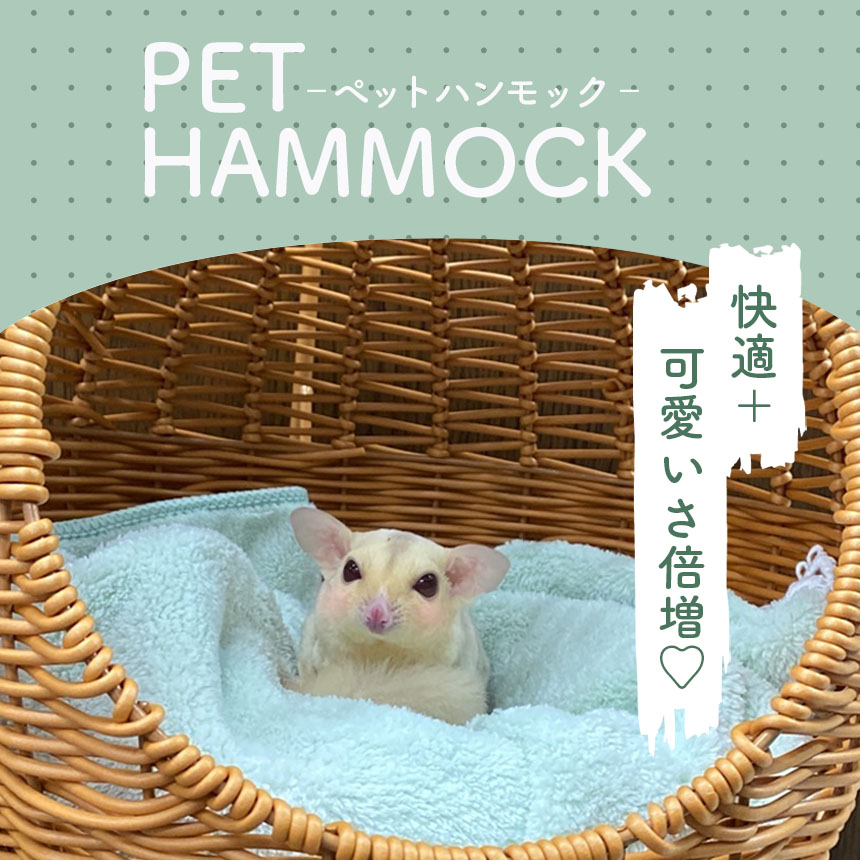 爆買 小動物 ゆりかご 子猫 ベッド 2個セット ペットベッド ドーム 丸
