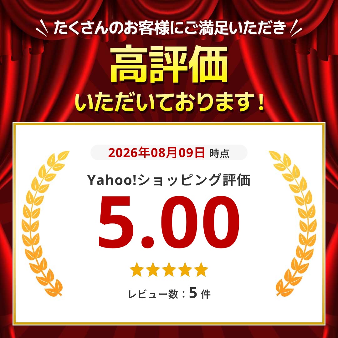 プラズマライター 電子ライター USB充電式 ...の詳細画像1