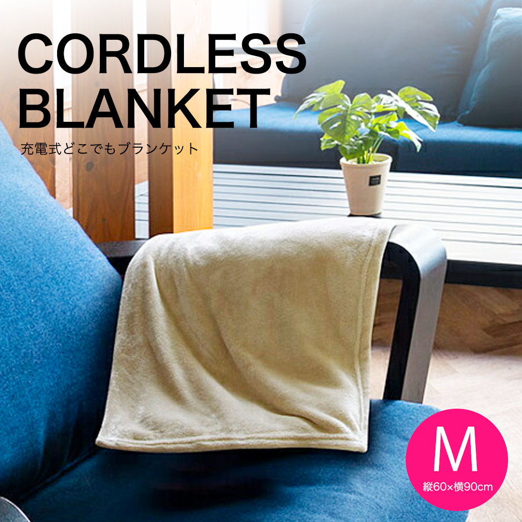 【値下げ・名盤】 レッグアシスト 低周波治療器 フットマッサージャー 足裏 足先ふくらはぎフットマッサージ 足裏 足先 【EIM1766760906】(61600円)