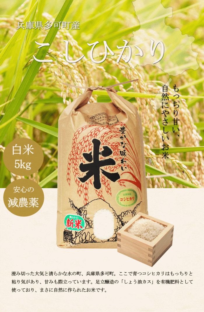 新米 令和7年度産 兵庫県 多可町産 こしひかり 5kg 2025年度産 減農薬