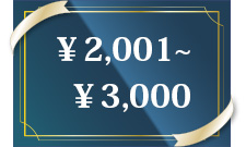 2001-3000円