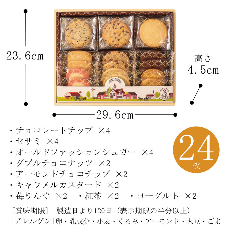 サイズ
