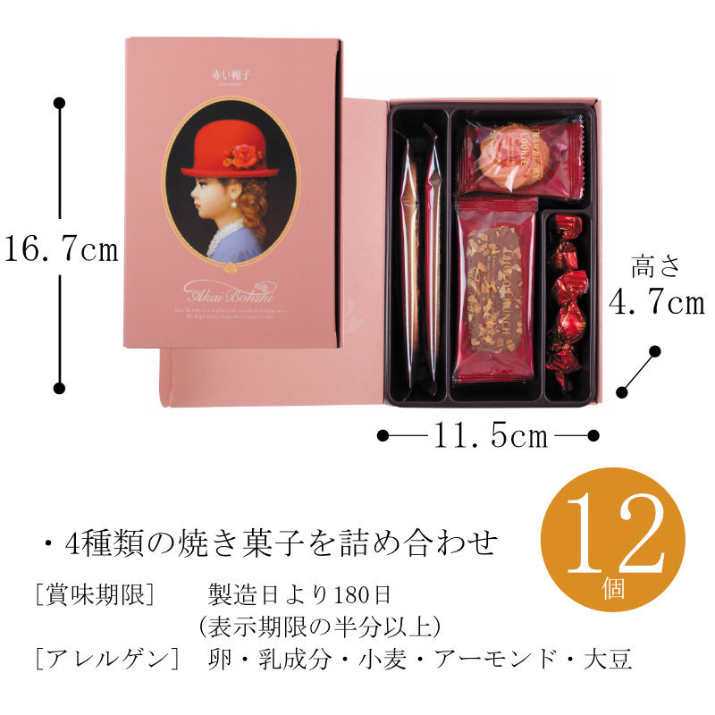 サイズ