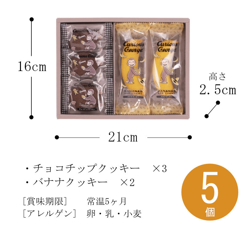 サイズ