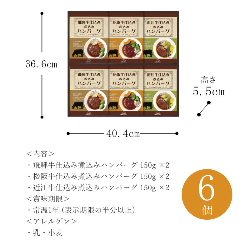 飛騨牛ハンバーグ×2 松阪牛ハンバーグ×2 近江牛ハンバーグ×2