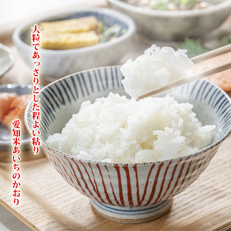 あいちのかおり お米 10kg 白米 送料無料 5kg×2袋 愛知県産 令和