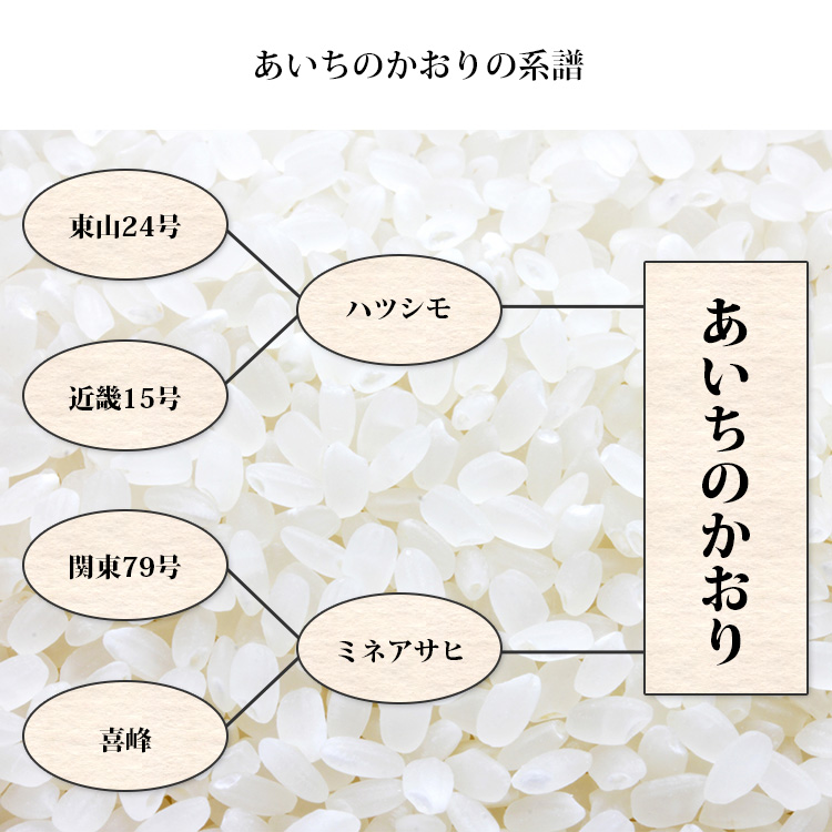 あいちのかおりの系譜