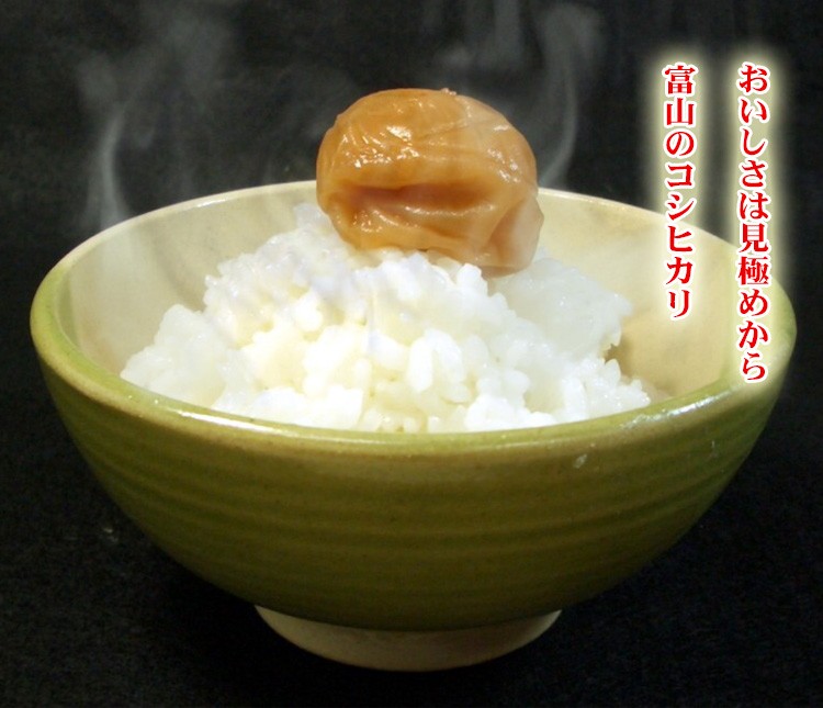 やっぱりこしひかり