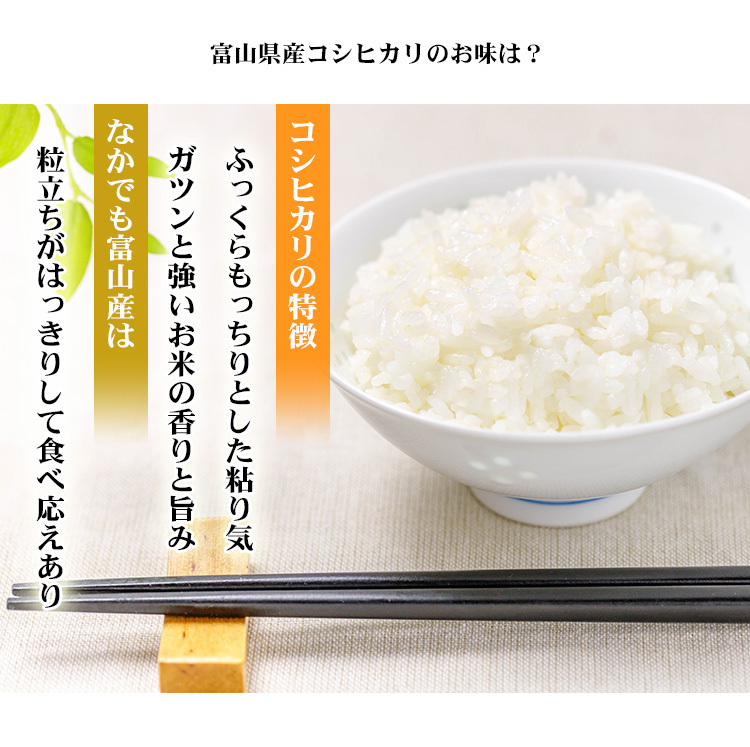 こしひかりの味 魅力 食味