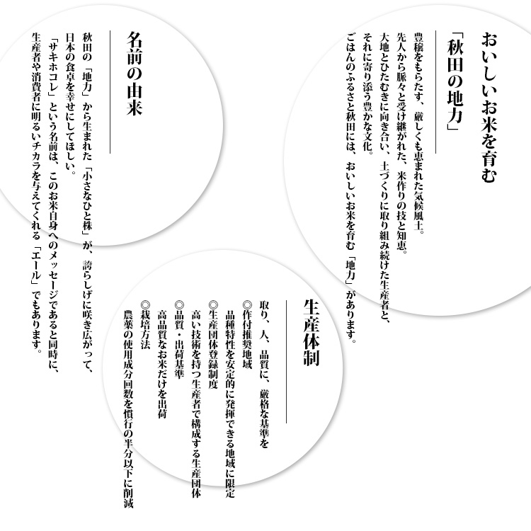 秋田米 サキホコレ