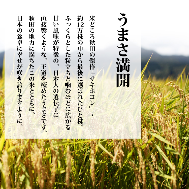 秋田米 サキホコレ