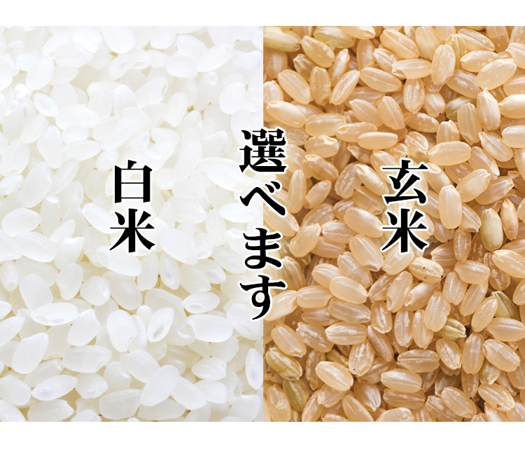 新米 お米 5kg 送料無料 白米 玄米 ゆめぴりか 北海道産 令和6年産 一等米 お米 5キロ あす着く食品 : hy-5 : あだちねっと美米屋  - 通販 - Yahoo!ショッピング