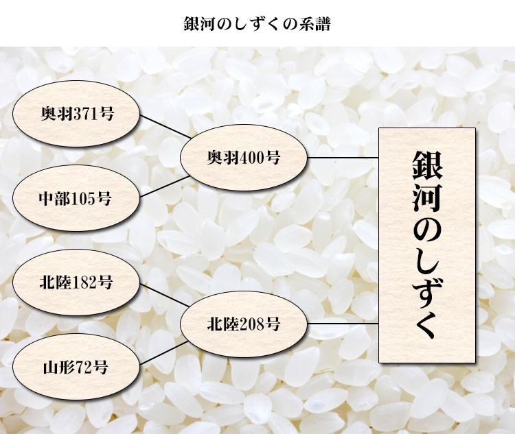 銀河のしずくの系譜