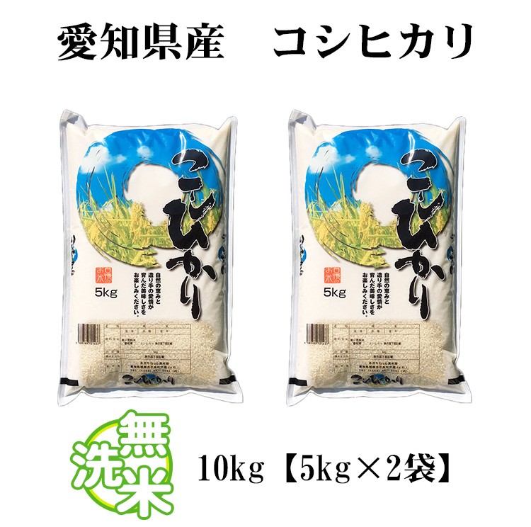 無洗米 10kg 送料無料 コシヒカリ 5kg×2袋 愛知県産 こしひかり 令和5 