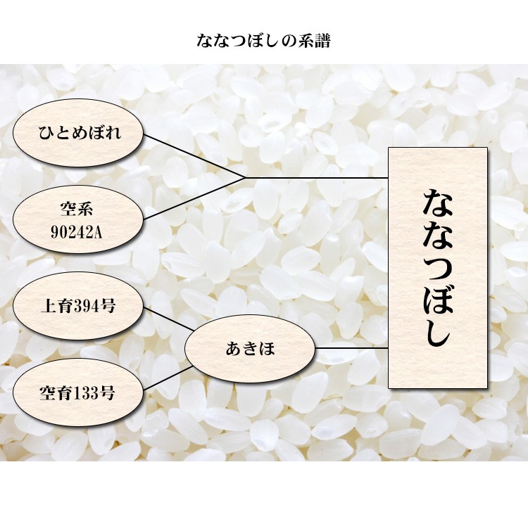 ななつぼしの系譜