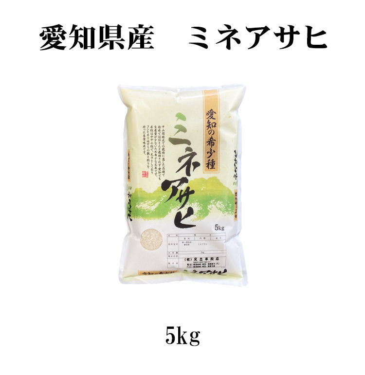 お米 5kg 送料別 白米 幻の米 ミネアサヒ みねあさひ 愛知県産 令和4年産 1等米 お米 5キロ あす着く食品