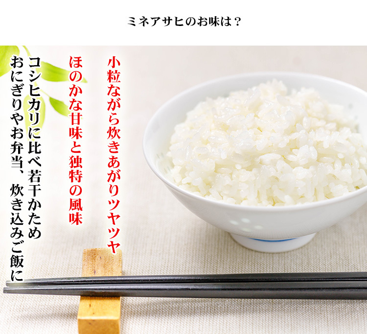 お米 5kg 送料別 白米 幻の米 ミネアサヒ みねあさひ 愛知県産 令和4年産 1等米 お米 5キロ あす着く食品 : ma-5 :  あだちねっと美米屋 - 通販 - Yahoo!ショッピング