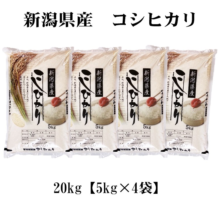 新米 お米 20kg 送料無料 白米 コシヒカリ 5kg×4袋 新潟県産 令和5年産